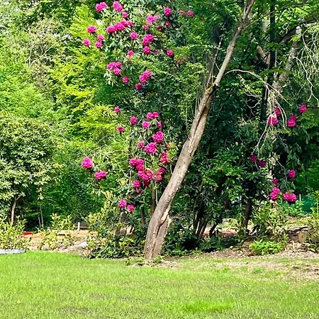 La Noisette Florennes