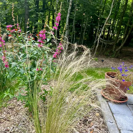 Dağ evi La Noisette *