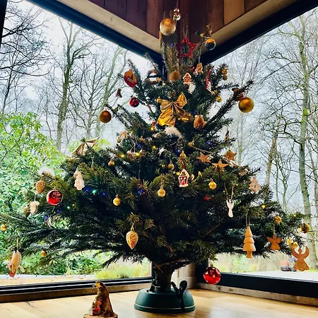 Dağ evi La Noisette Florennes